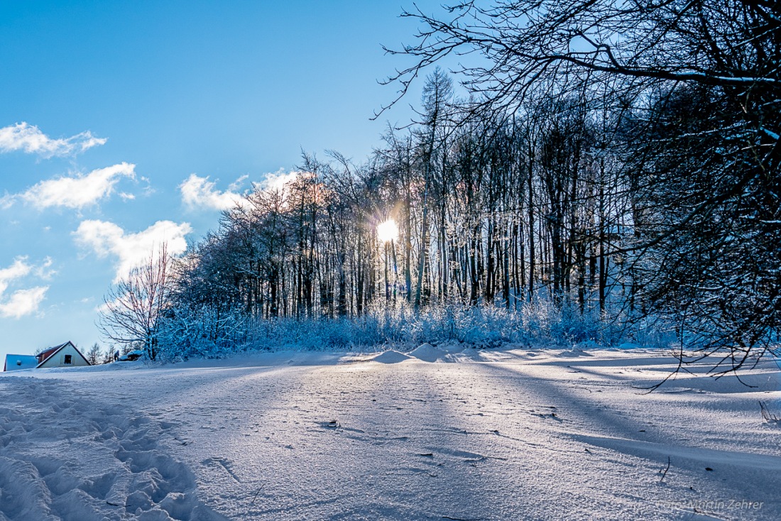 Foto: Martin Zehrer - Wandern am Armesberg bei schönstem Winterwetter... 