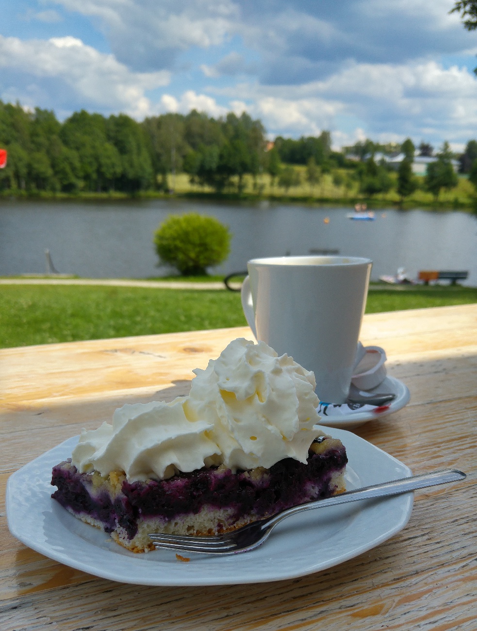 Foto: Jennifer Müller - Voller Vorfreude auf den kommmenden Sommer... Herrlicher Kuchen am nagler See. Hat nicht nur so manche Wespe angelockt ;-) 