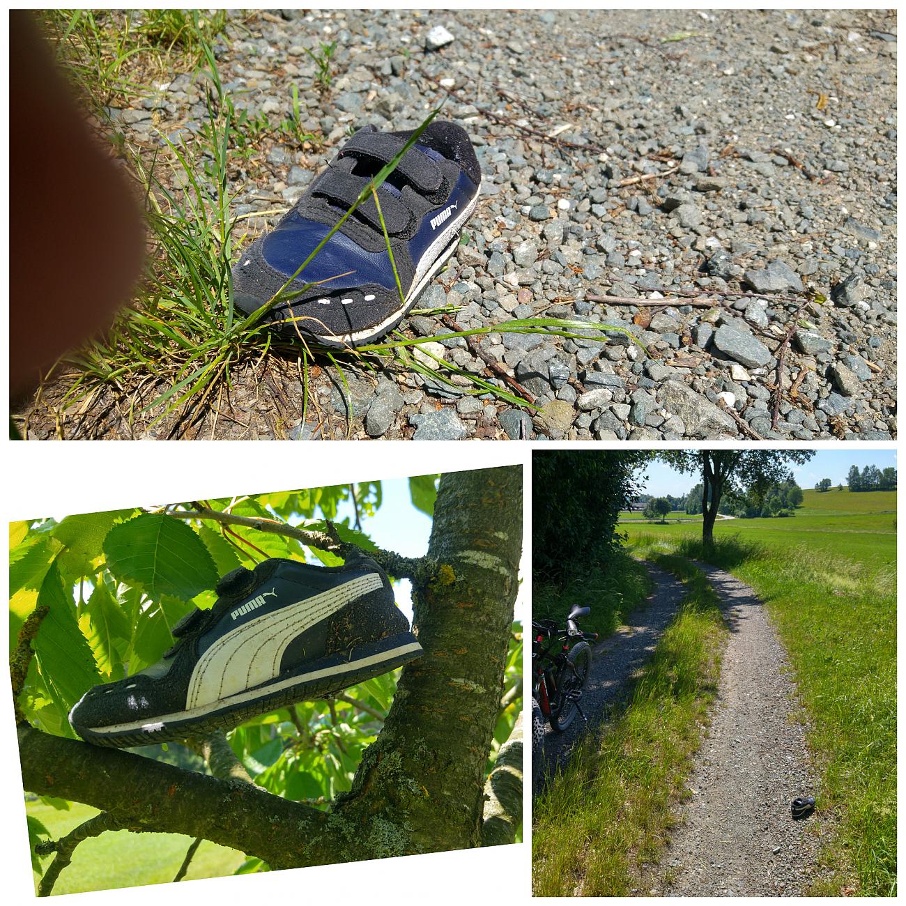 Foto: Martin Zehrer - Kleiner Schuh der Marke Puma zwischen Berndorf und Immenreuth auf einem Feldweg gesehen... Ich hab den Schuh in eine Astgabel am Wegesrand gestellt... 