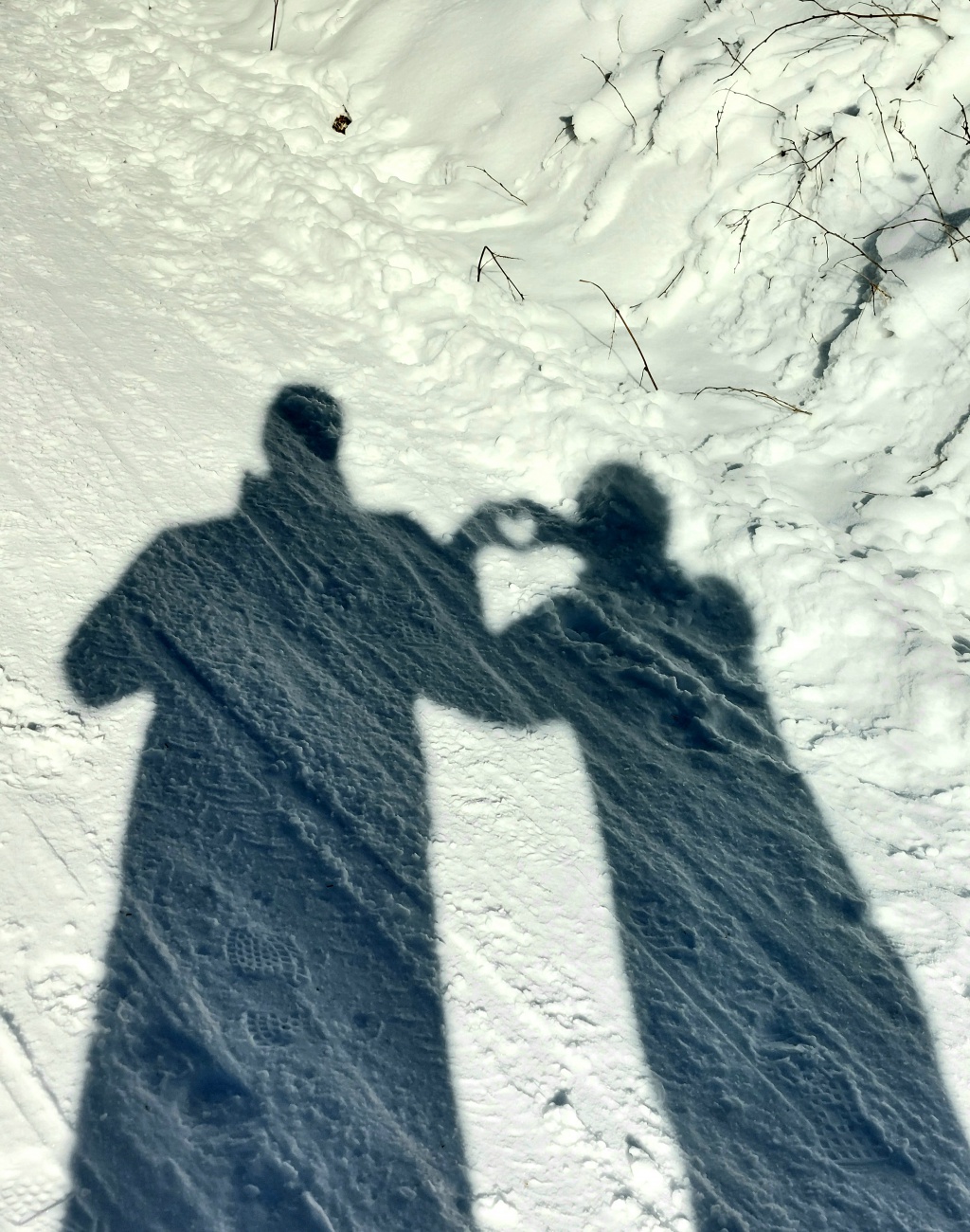 Foto: Martin Zehrer - Kösseine-Wanderung in den Sonnen-Himmel hinauf!<br />
Seit Tagen und Wochen herrscht trübes bzw. nebeliges Wetter. Am Freitag, den 14. Januar 2022 packte mein Mäuschen den Ruc 
