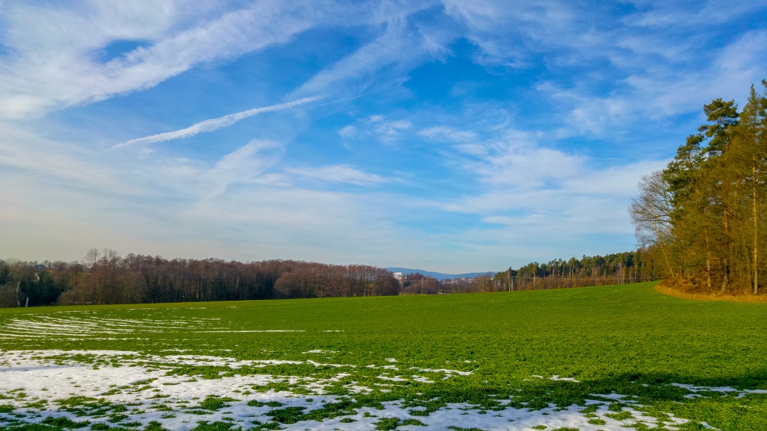 Foto: Martin Zehrer - Frühling... Unterhalb des Anzensteins, zwischen Schönreuth und Kemnath... <br />
Die Farbe Grün setzt sich langsam durch!<br />
<br />
17. Februar 2019 