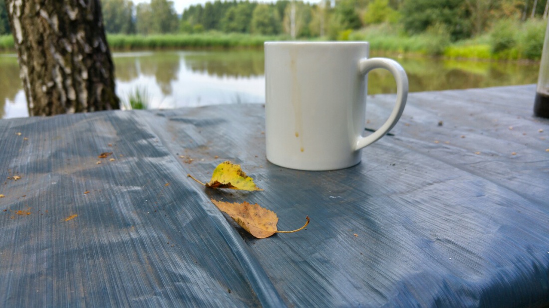Foto: Martin Zehrer - Beim Kaffee-Trinken am Weiher:<br />
<br />
Es wird Herbst - zwei Blätter, ein Beweis ;-)<br />
<br />
 