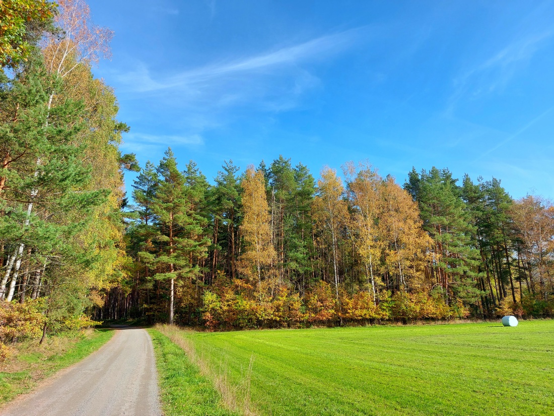 Foto: Martin Zehrer - Goldener 31. Oktober 2022<br />
<br />
21 Grad bei warmen Sonnenschein  