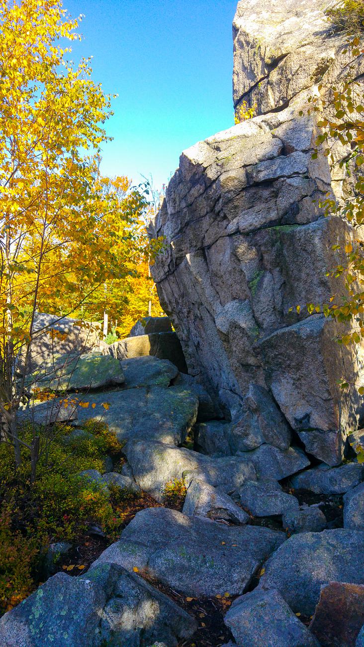 Foto: Martin Zehrer - Vormittags-Wanderung in den Steinwald. Der goldene Herbst ist mit ca. 22 Grad Temperatur, blauem Himmel und kräftigen Sonnenschein zurück...<br />
<br />
13.10.2019 