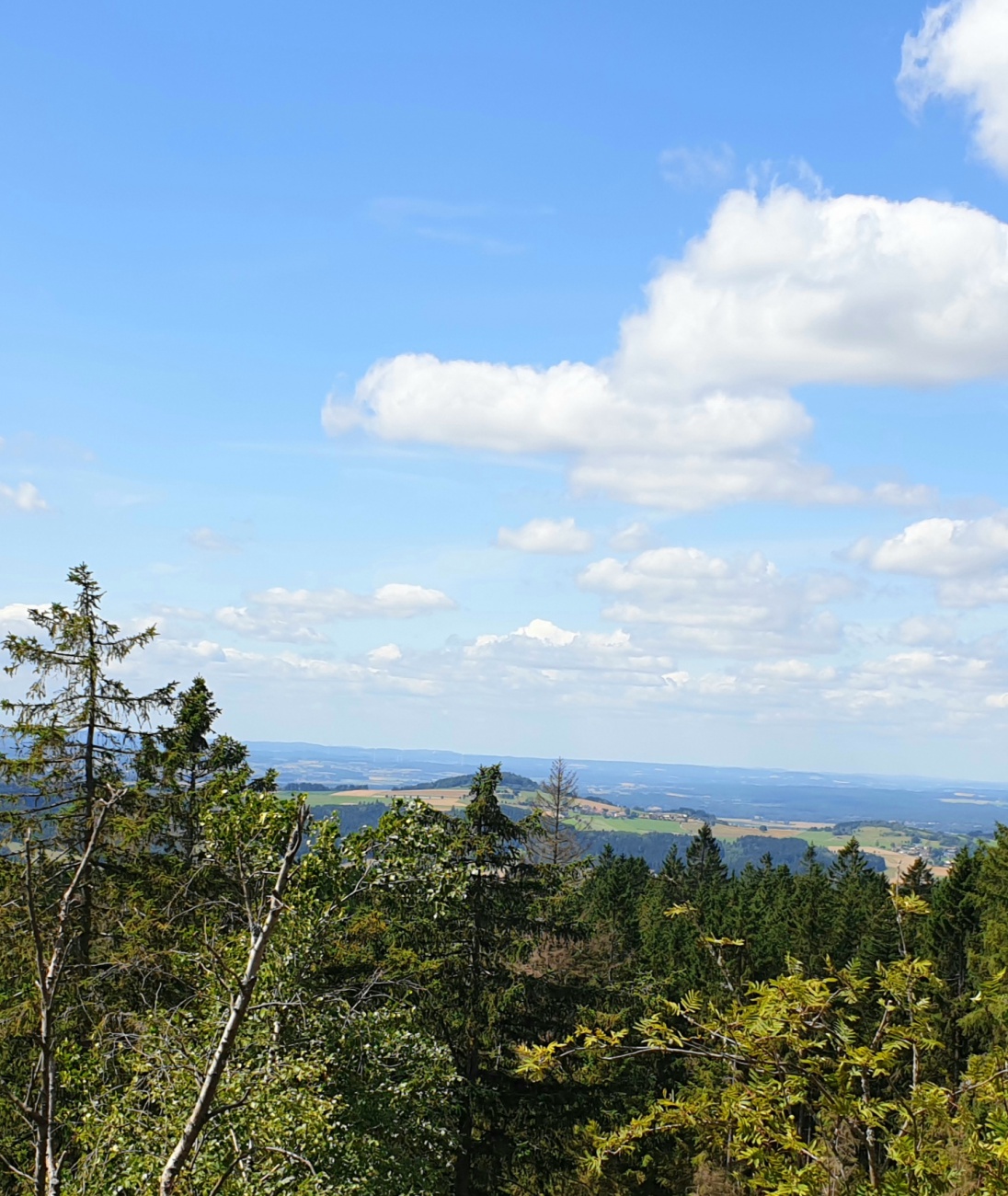 Foto: Martin Zehrer - Der Blick vom Reisenegger-Felsen im Steinwald rüber zum Armesberg.<br />
<br />
Radtour: <br />
Immenreuth - Kulmain - Aign - Riglasreuth - Lochau - Haselbrunn - durch den Steinwald zum 