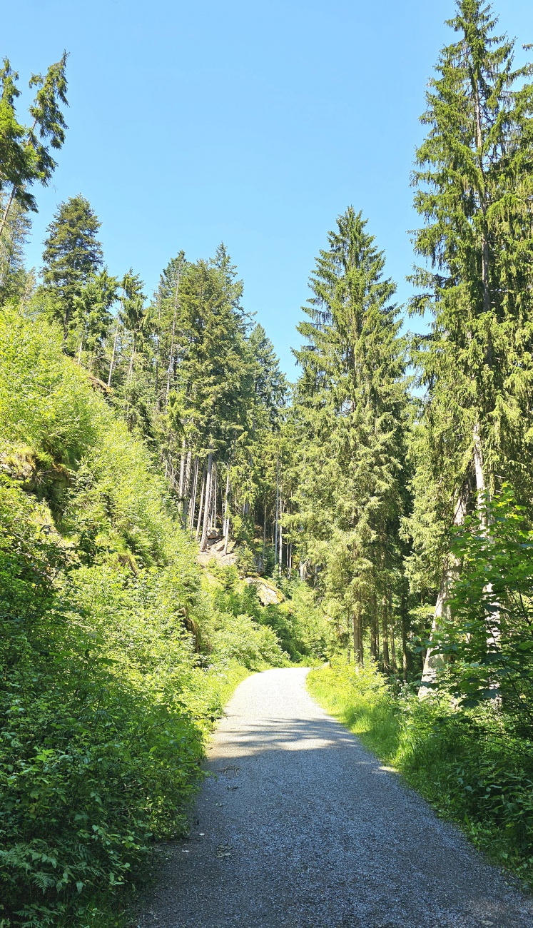 Herrliche Natur, traumhafte Landschaften... auf dem Weg zur Blockhütte im Waldnaabtal.
