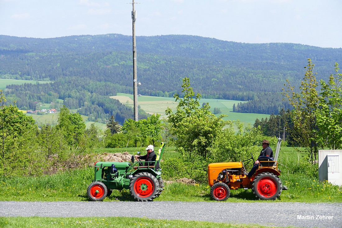 Foto: Martin Zehrer - Geniale Bulldogs vor einer gigantischen Steinwaldkulisse. Gesehen auf dem Armesberg... Eine Vatertagsreise der besonderen Art! 