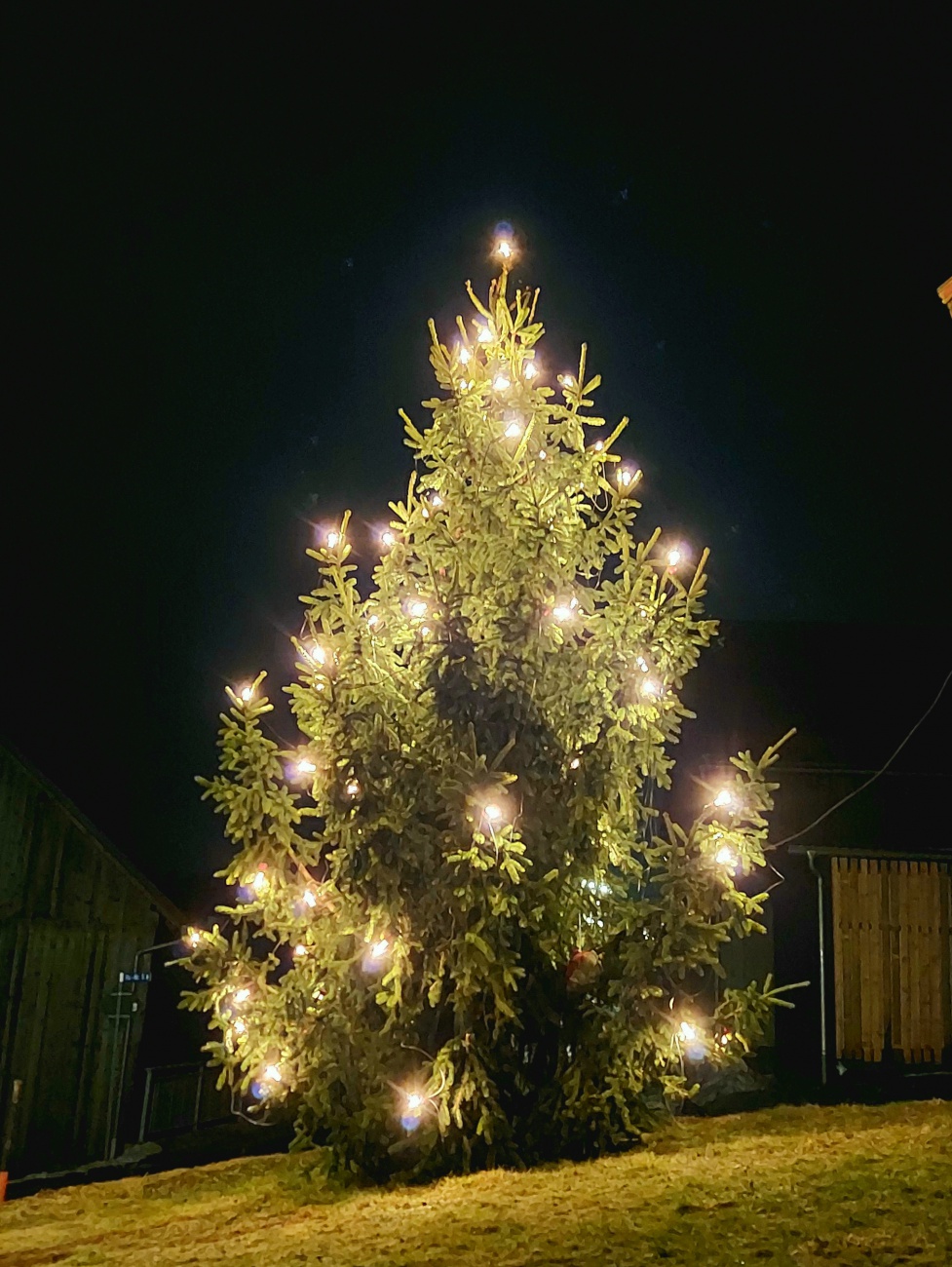 Foto: Martin Zehrer - Der Godaser Christbaum am 17. Dezember 2021 :-) 