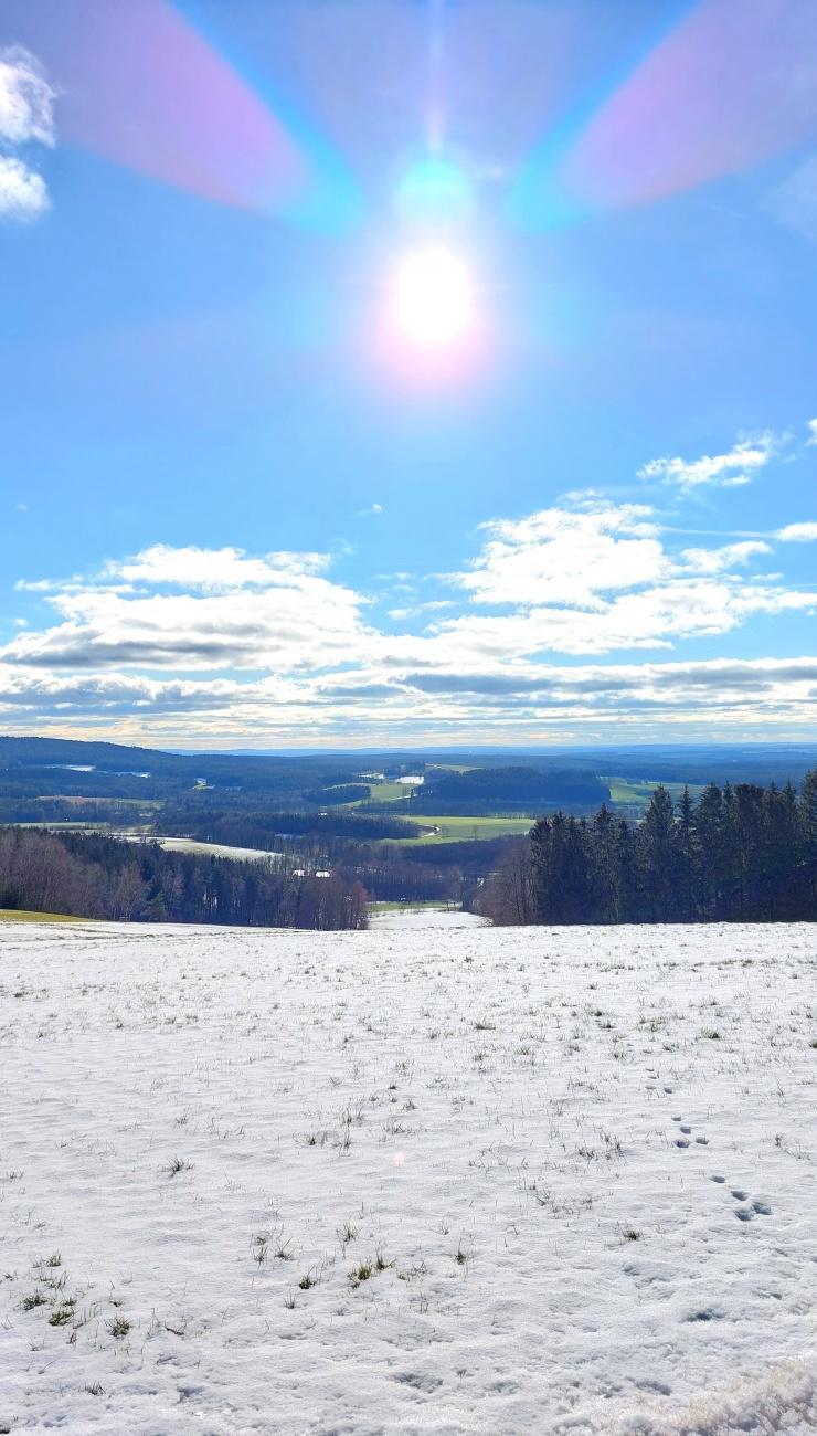 Foto: Martin Zehrer - Unten grün und oben Schnee.<br />
Der Ausblick von Zwergau aus, am 4. Februar 2023. 