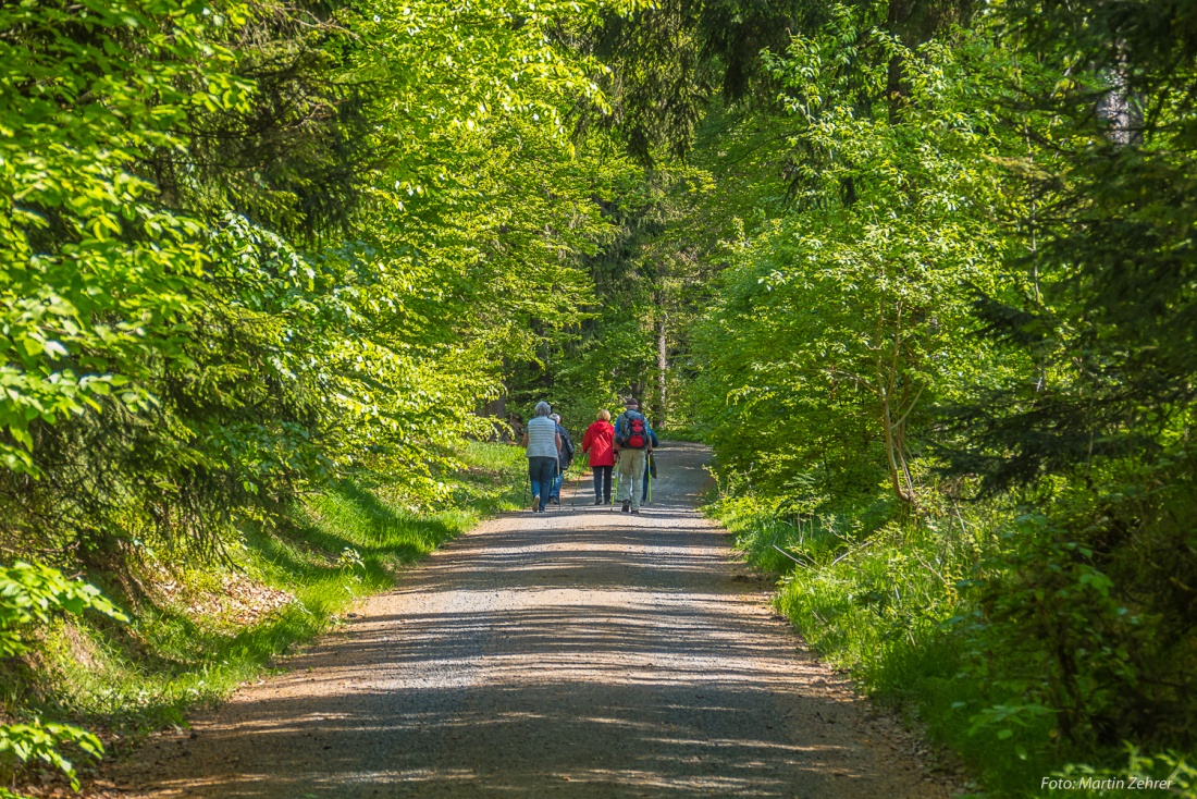 Foto: Martin Zehrer - Herrlich... Frühlings-Wanderung durch den Steinwald...<br />
<br />
Ziel ist eine Wanderung zum Oberpfalzturm oben auf der Platte, dem höchstem Berg im wunderbarem Steinwald. <br />
Wun 