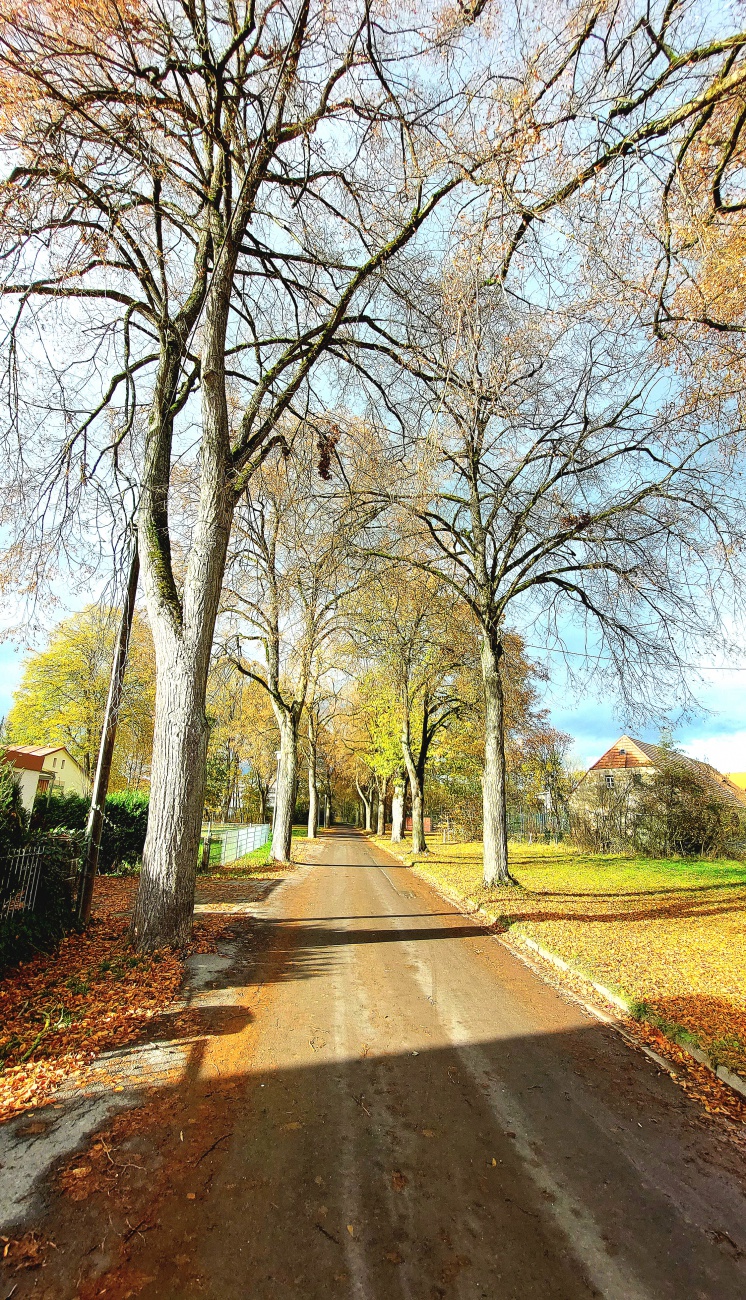 Foto: Martin Zehrer - Badstraße Kemnath... Herbst-Licht 