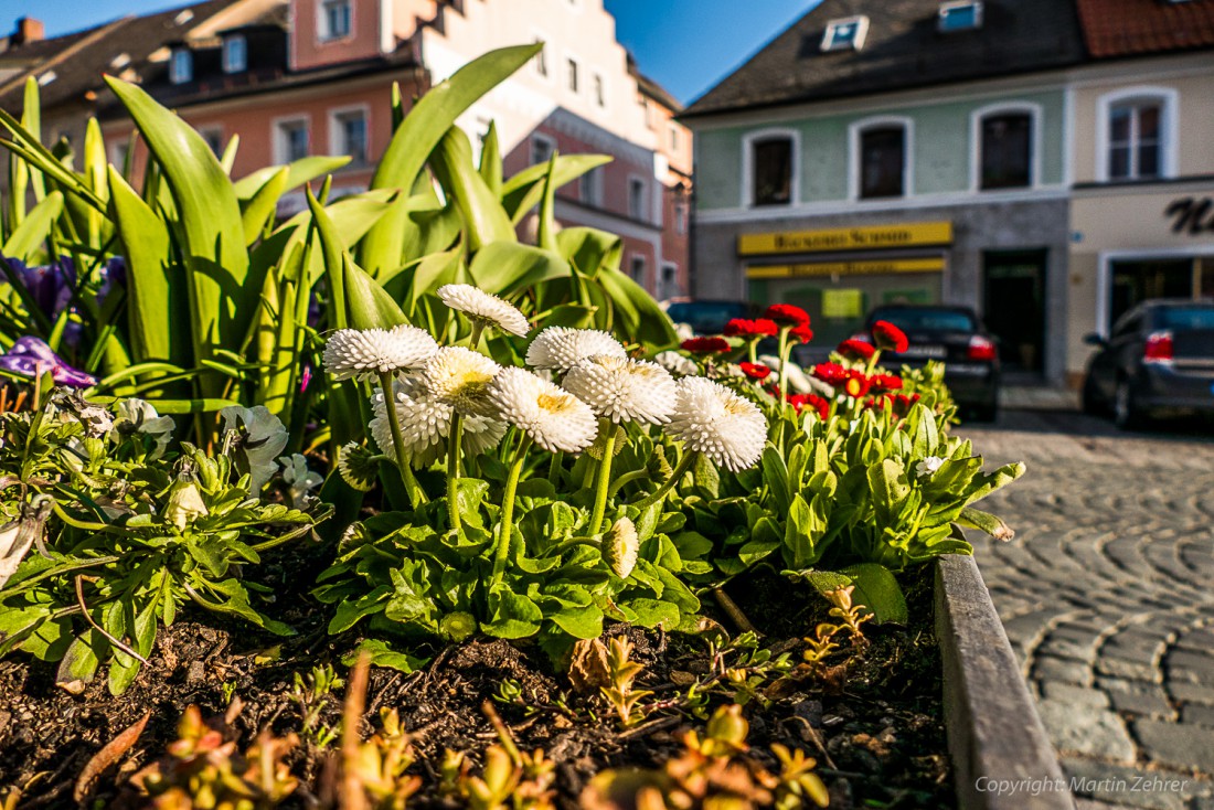 Foto: Martin Zehrer - Frühling in Kemnath. Heute, am 3. April 2015 schien mal die Sonne, mal war der Himmel voller kontrastreicher Wolken. In den höheren Lagen wie auf dem Armesberg oder dem Z 