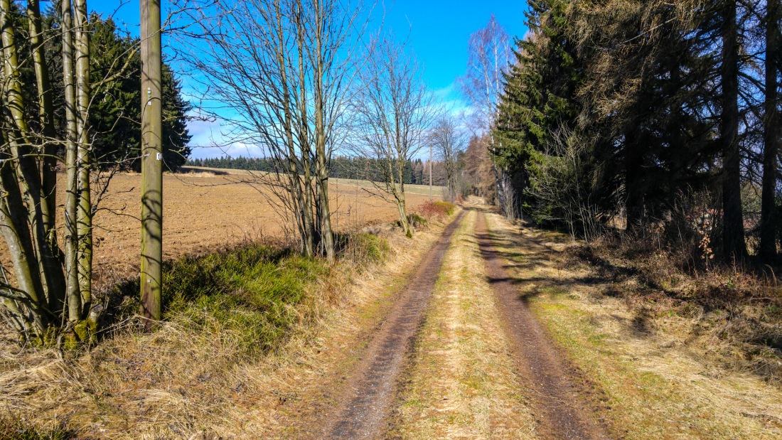 Foto: Martin Zehrer - Wandern im Paradies zwischen Godas und Zwergau... Unbeschreibliche Ruhe, verwunschene Wege, interessante Natur... 