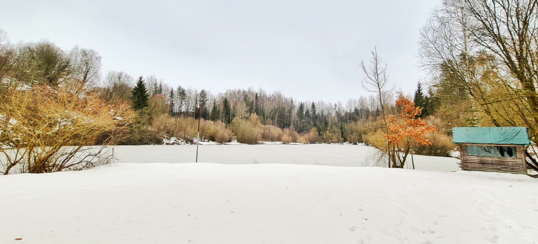 Foto: Jennifer Müller - Der kleine See im neusorger Steinbruch. Jetzt im Winter ein wunderschön ruhiges Eckerl ;-) 