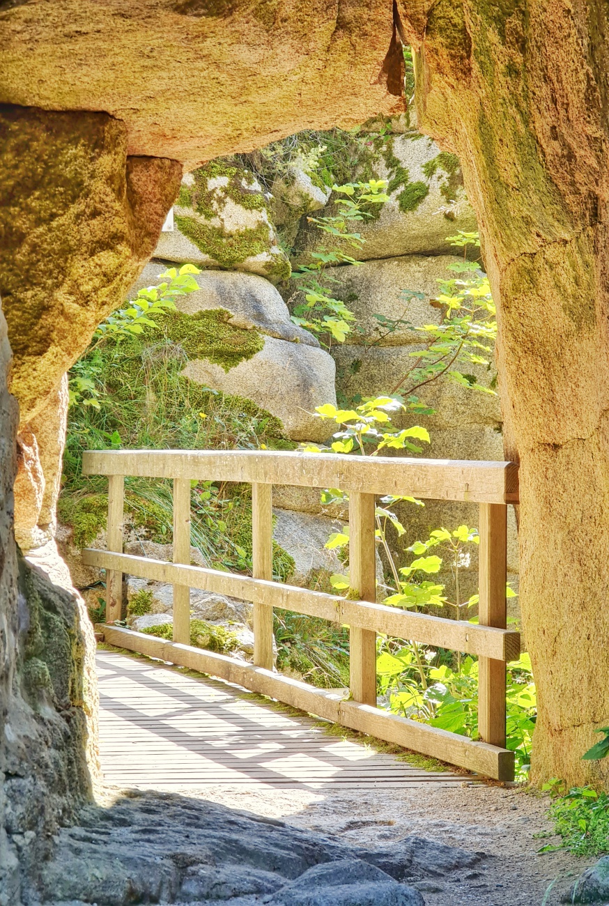 Foto: Jennifer Müller - Wanderung vom Marktredwitzer Haus durch den Steinwald zur Burgruine Weißenstein. 