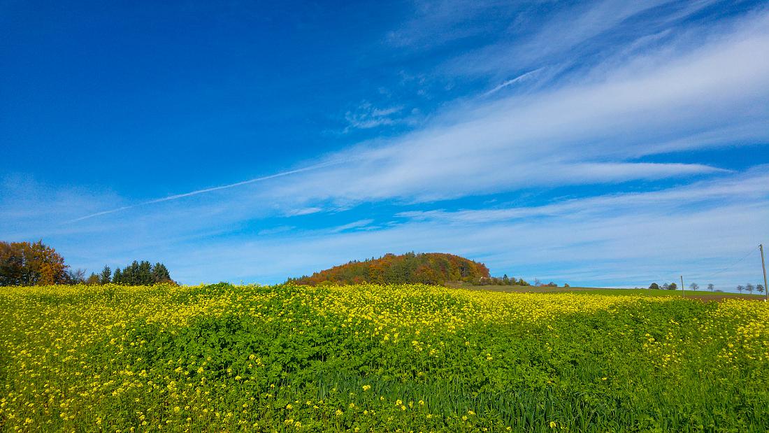 Foto: Martin Zehrer - 20. Oktober 2019 Vormittags... Wandern zwischen Godas und Erdenweis! 