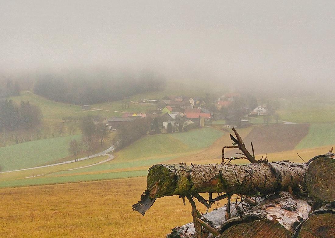 Foto: Jenny Müller - Godas im Nebel. Ein wunderschönes Fleckchen Erde am Fuße des Armesberg. Fotografiert beim Spaziergang am 22.12.2020. Es nieselte leich und ein frischer Wind wehte. 