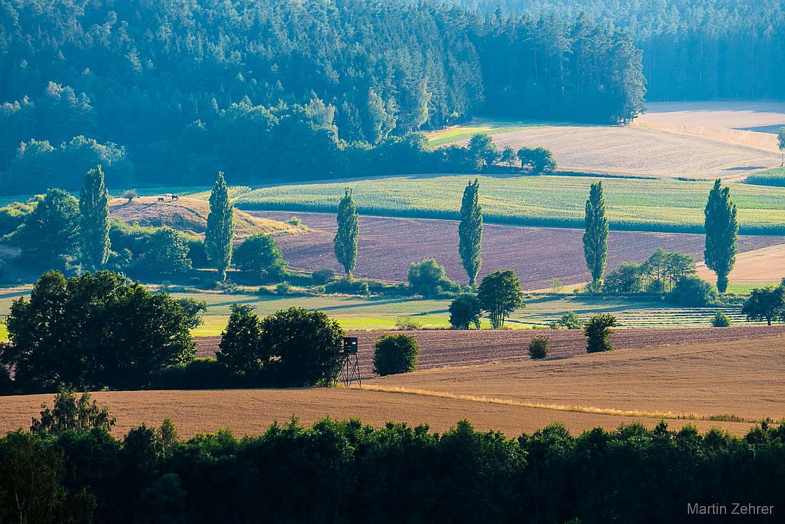 Foto: Martin Zehrer - Aussicht vom löschwitzer Berg hinunter... ;-) 