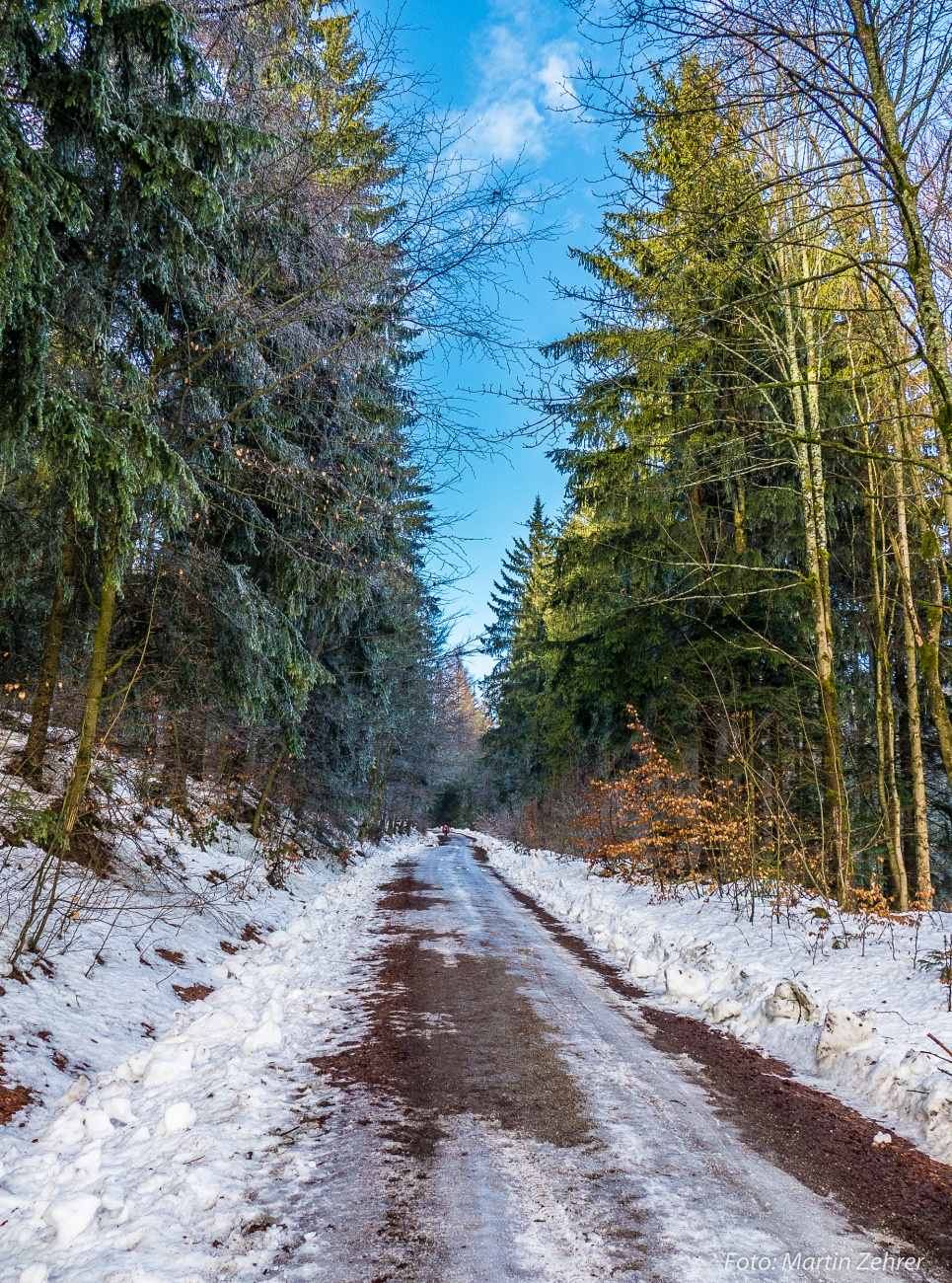 Foto: Martin Zehrer - Los gehts! Winter-Wanderung durch den Steinwald bis zum Waldhaus. Dort im Waldhaus gibts gute Brotzeiten und man kann sich speziell im Winter gut aufwärmen. 