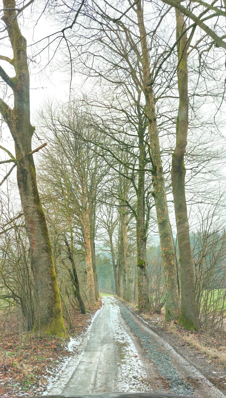 Foto: Martin Zehrer - Ein regulärer Verbindungsweg, irgendwo bei Bad Berneck. 