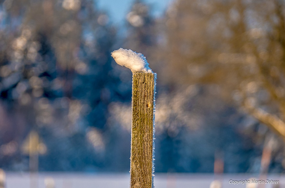 Foto: Martin Zehrer - Windfahne ;-) 