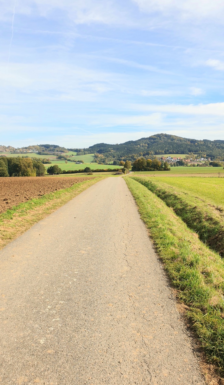 Foto: Martin Zehrer - On the raod again :-)<br />
<br />
Immenreuth - Kulmain - Zinst - Altensteinreuth - Neusteinreuth - Godas - Zissler-Wald - Waldeck - Schönreuth - Kemnath - Immenreuth!!! Etwas fris 