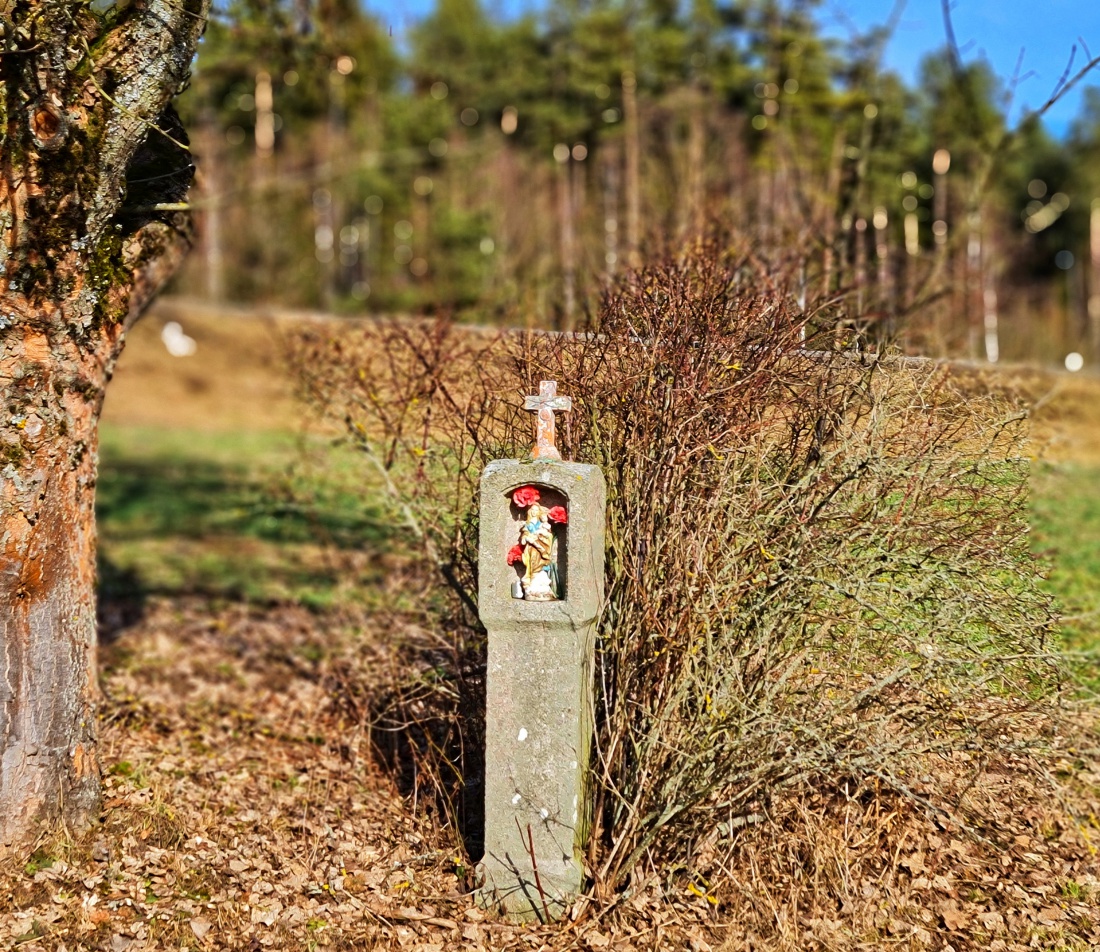 Foto: Jennifer Müller - Feldkreuz zwischen Schadenreuth und Grötschenreuth. 