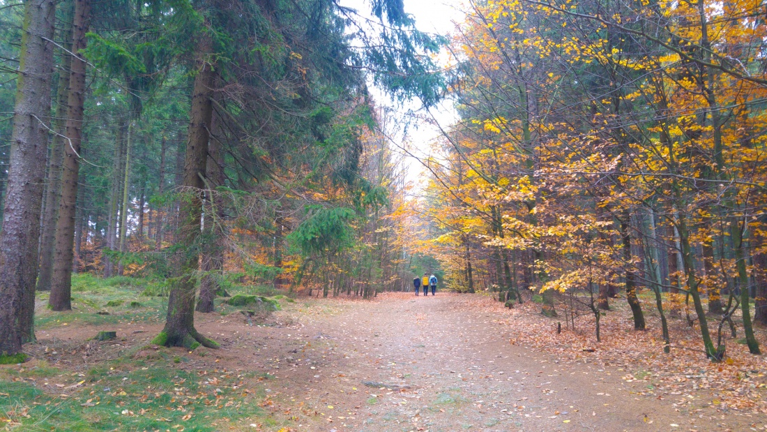 Foto: Martin Zehrer - Unterwegs im Fichtelgebirge... Etwas kühl und trübe... 4. November 2018 