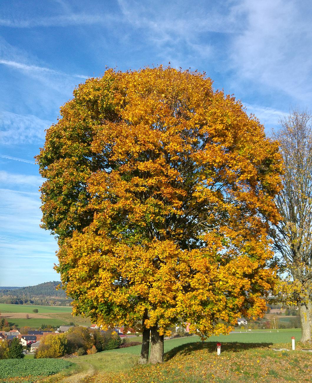 Foto: Martin Zehrer - Herbst-Farben... Die vermutlich letzte Motorrad-Tour vorm Winter... :-)<br />
<br />
20.10.2019 