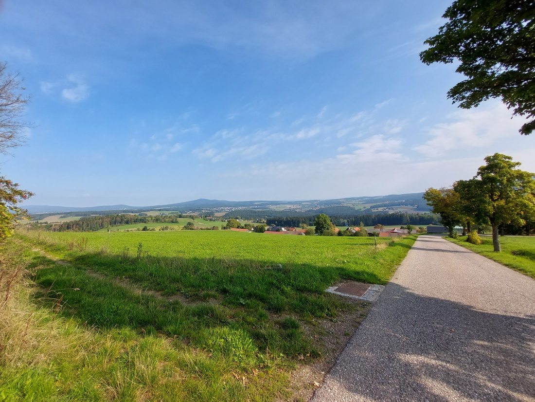 Foto: Martin Zehrer - Eine wunderschöne Morgen-Wanderung zum Armesberg. 