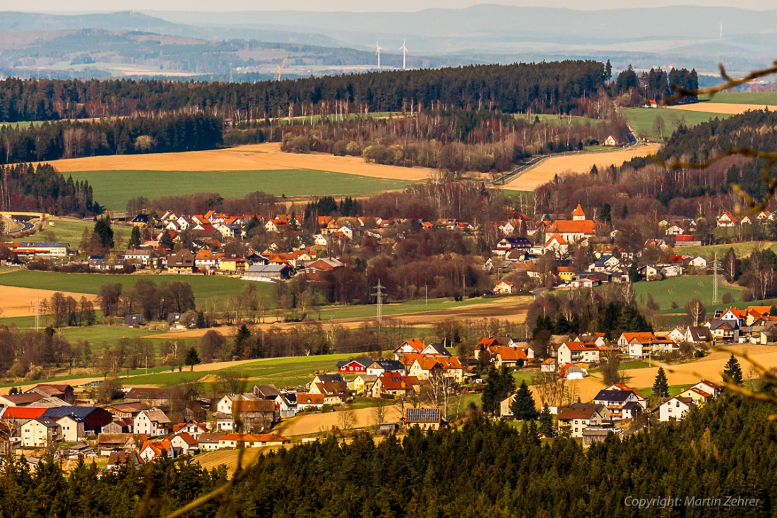 Foto: Martin Zehrer - Frühling auf dem Armesberg. Erste Hummeln fliegen durch die Gegend. Schmetterlinge lassen sich entdecken. Grüne kleine Pflanzen drücken mit aller Kraft durch das Herbstla 