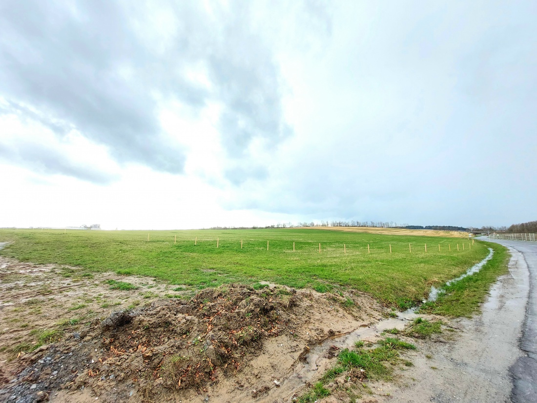 Foto: Martin Zehrer - Das zukünftige Baugebiet hinter dem Friedhof in Richtung Berndorf.<br />
Wenn man genau hinguckt, sieht man die Pfähle, welche zur Vermessung des Grundstücks gesteckt wurden. 