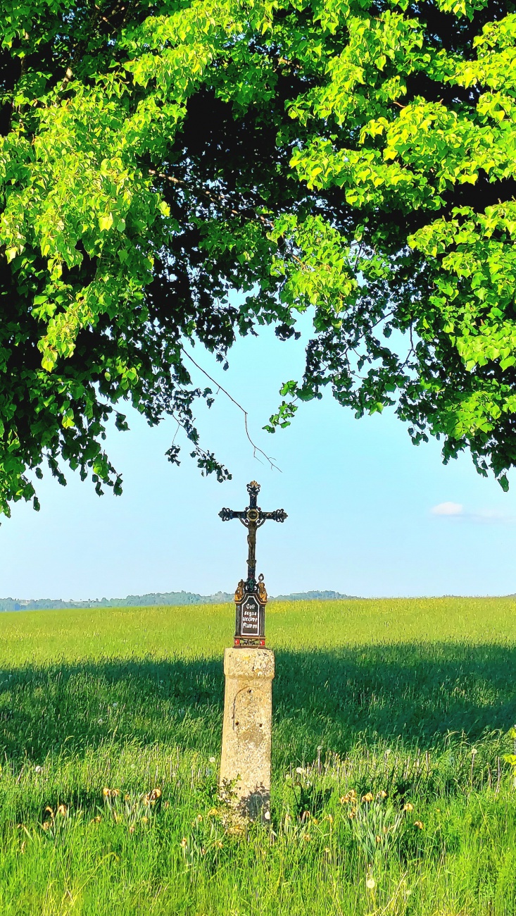 Foto: Martin Zehrer - Ein Feldkreuz bei Kötzersdorf. <br />
<br />
"Gott segne unsere Fluren" lautet die Inschrift. <br />
<br />
Die Geschichte der Feldkreuze:<br />
<br />
Feldkreuze, auch Wegkreuze oder Flurkreuze genan 