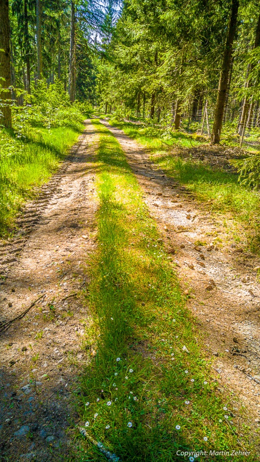 Foto: Martin Zehrer - Abkürzung: Ein Feldweg kurz vor Hermannsreuth...<br />
<br />
Gigantische Radtour an einem gigantischen Sonntag... über Berg und Tal, durch Wald und Wiese, mit nur einem Ziel: Gäns 