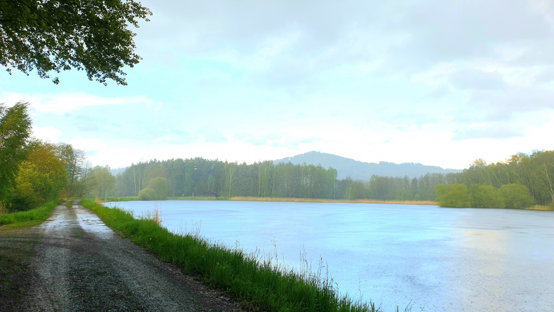 Foto: Martin Zehrer - Ein Regenaugenblick am Kuhweiher bei Eisersdorf.<br />
<br />
Mal schien die Sonne, mal regnete es und wir machten zwischendrinn unseren Spaziergang.<br />
<br />
Das Wetter war an diesem 17 