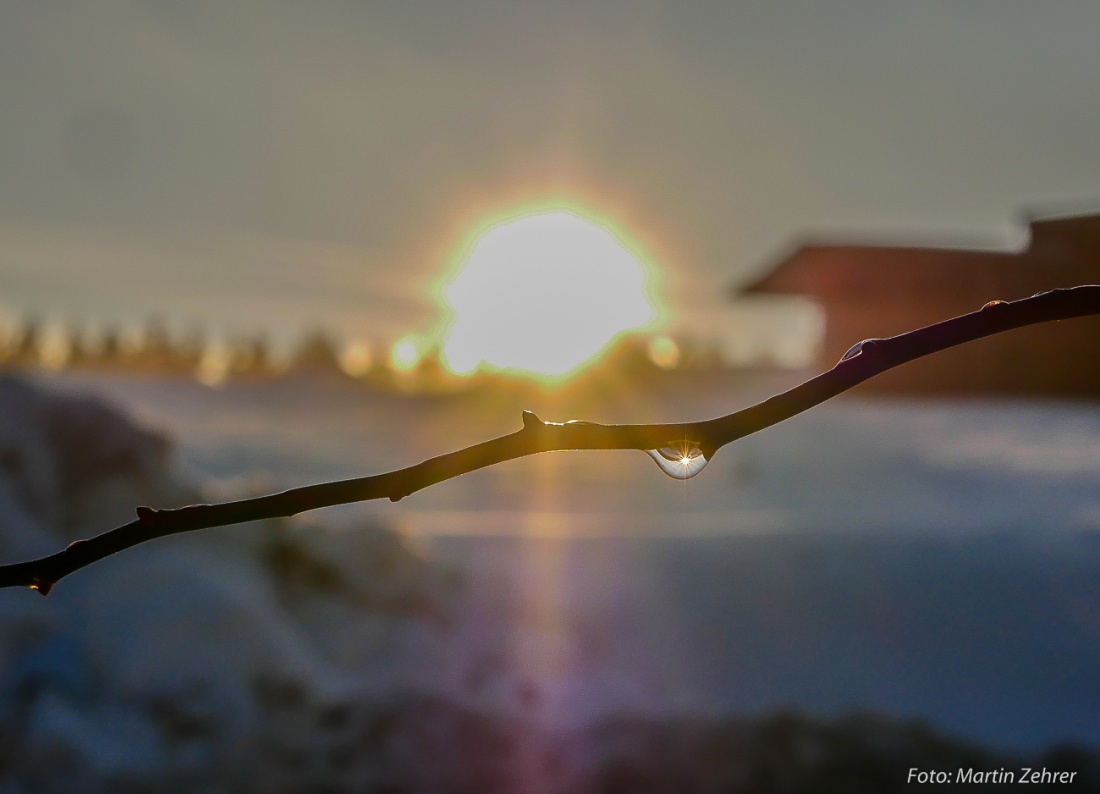 Foto: Martin Zehrer - Sonne - klein und groß... 