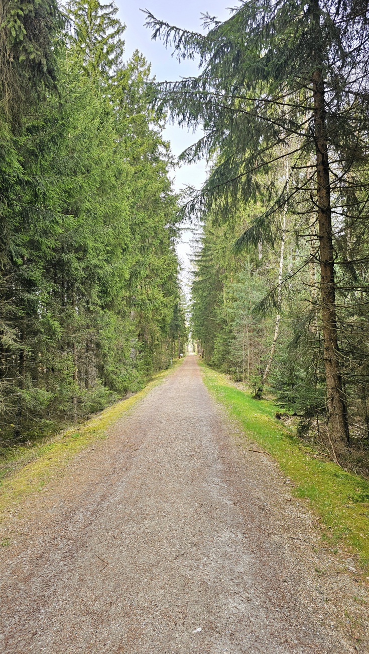 Durch den Wald bei Tirschenreuth...