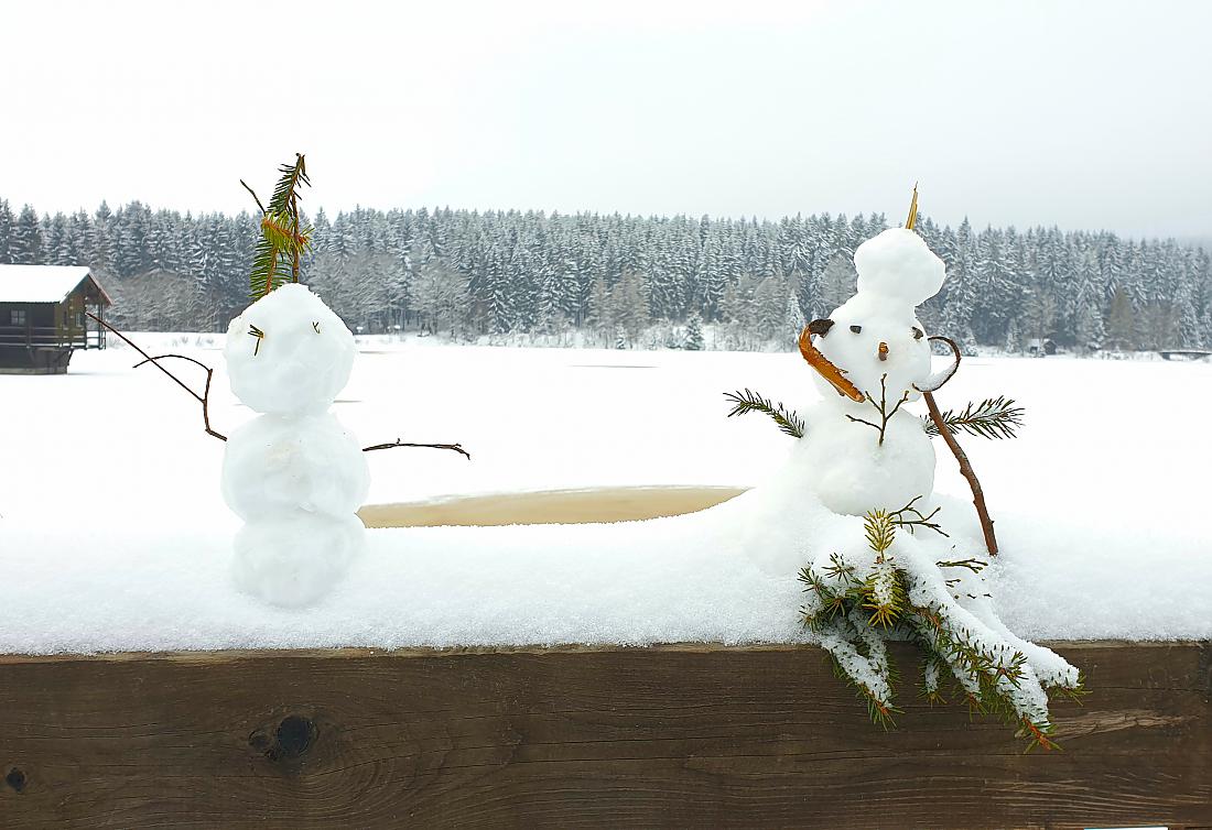 Foto: Martin Zehrer - Zwei kleine Schnee-Männchen am Fichtelsee...<br />
<br />
8. Januar 2021 
