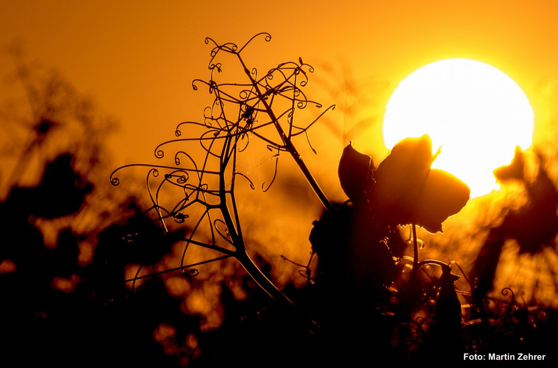 Foto: Martin Zehrer - Sonnenuntergang in Godas - Traumkurven  