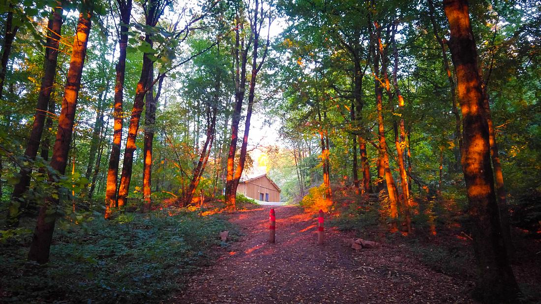 Foto: Martin Zehrer - Abend-Wanderung zum Rauhen Kulm, den Sonnenuntergang im Rücken... ;-) 