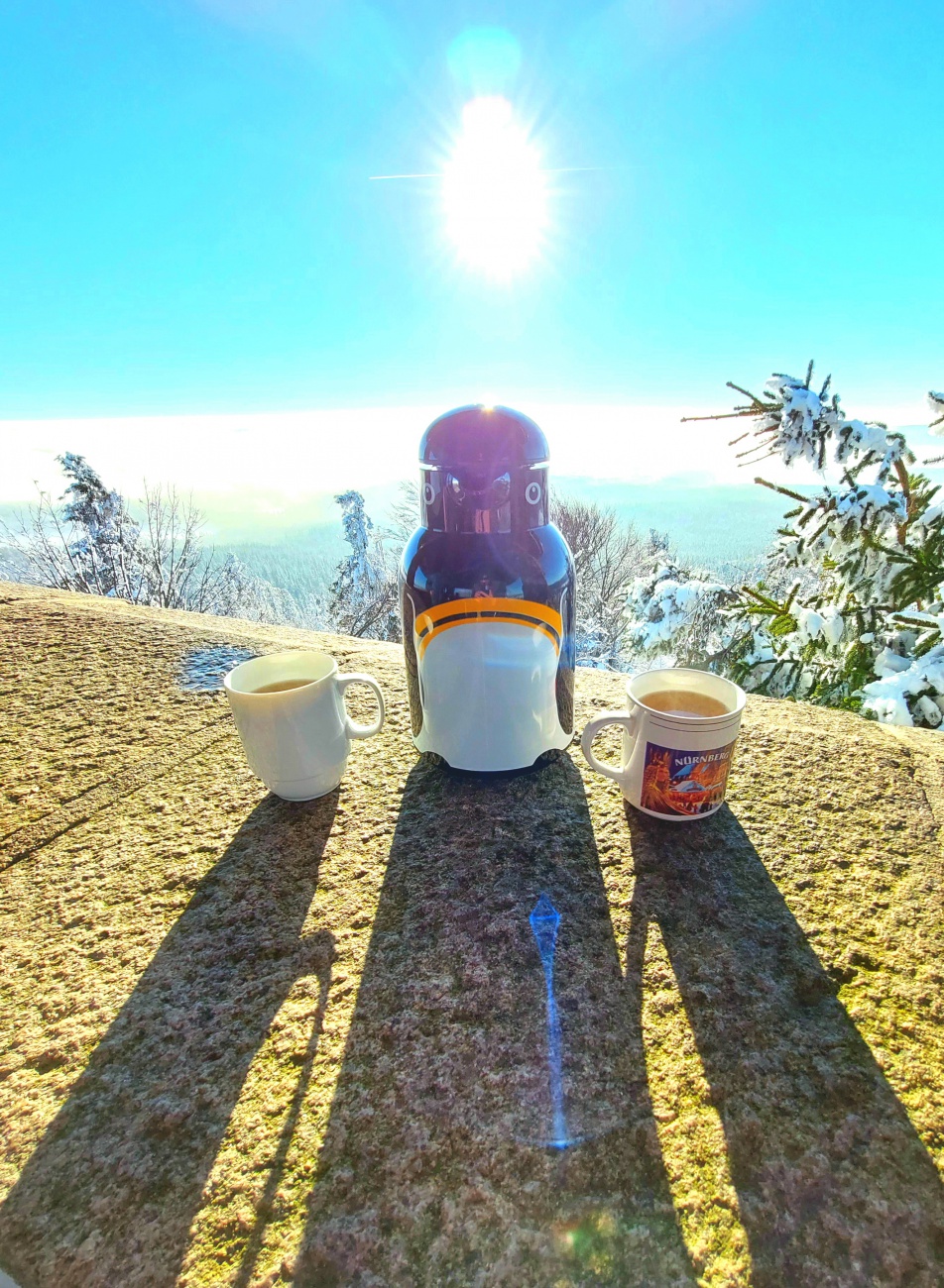 Foto: Martin Zehrer - Kösseine-Wanderung in den Sonnen-Himmel hinauf!<br />
Seit Tagen und Wochen herrscht trübes bzw. nebeliges Wetter. Am Freitag, den 14. Januar 2022 packte mein Mäuschen den Ruc 