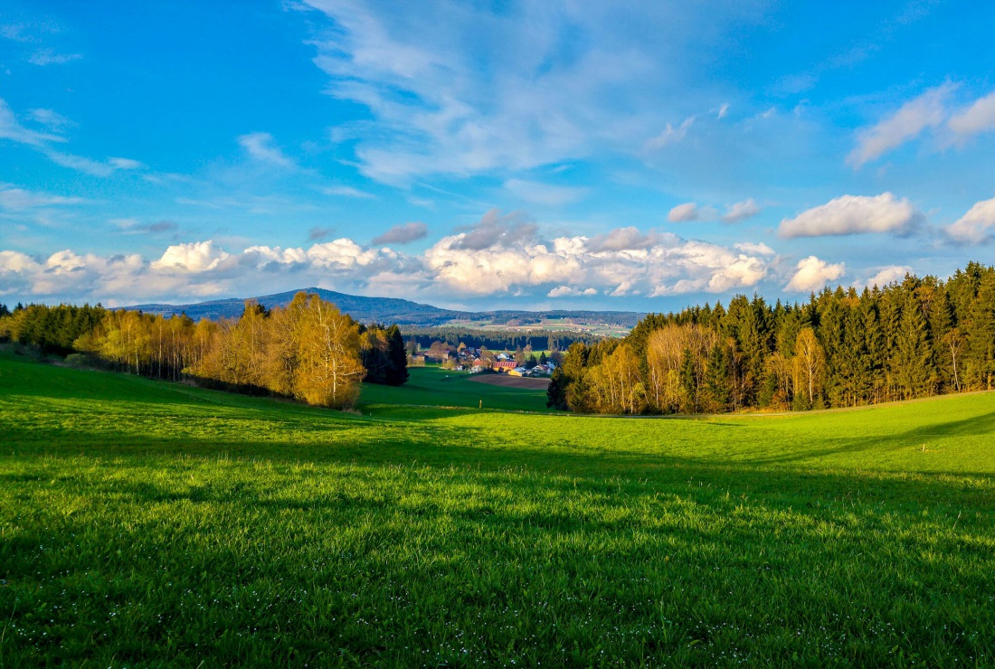 Foto: Martin Zehrer - Was für ein April-Wochenende... Gestern Regen, heute Früh Sonnenschein, dann hats zur Mittagszeit geschneit und jetzt, 19:30Uhr scheint die Sonne wieder<br />
<br />
24. April 2016 