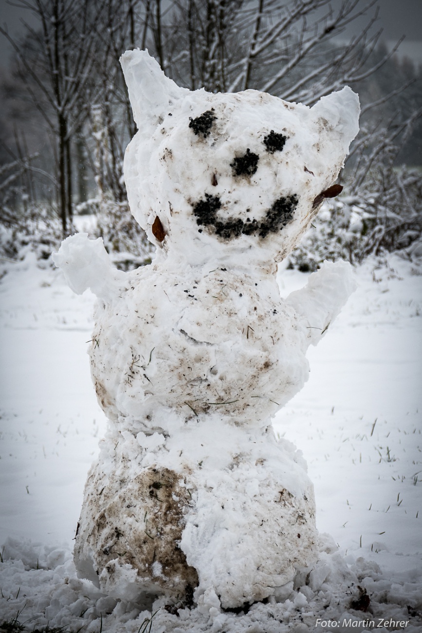 Foto: Martin Zehrer - Schnee-Bär auf dem Armesberg, gebaut am 19. November 2017... Leider lebte er nur wenige Minuten und brach dann zusammen... siehe nächste Bilder ;-) 