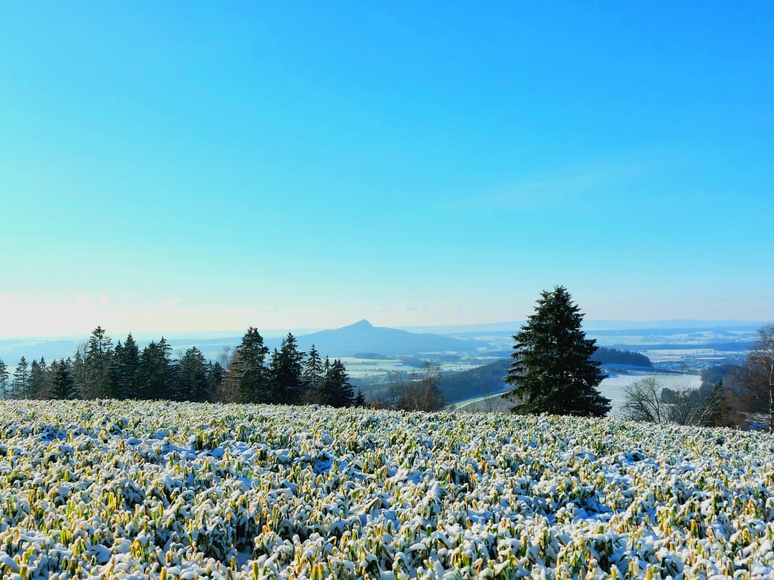 Foto: Martin Zehrer - Unendliche Weiten... bis zum Rauhen Kulm!<br />
<br />
Endlich wieder ein herrlich sonniger Winter-Tag. <br />
Bei -5 Grad Kälte strahlte die Sonne wirklich voller Energie vom blauen Hi 