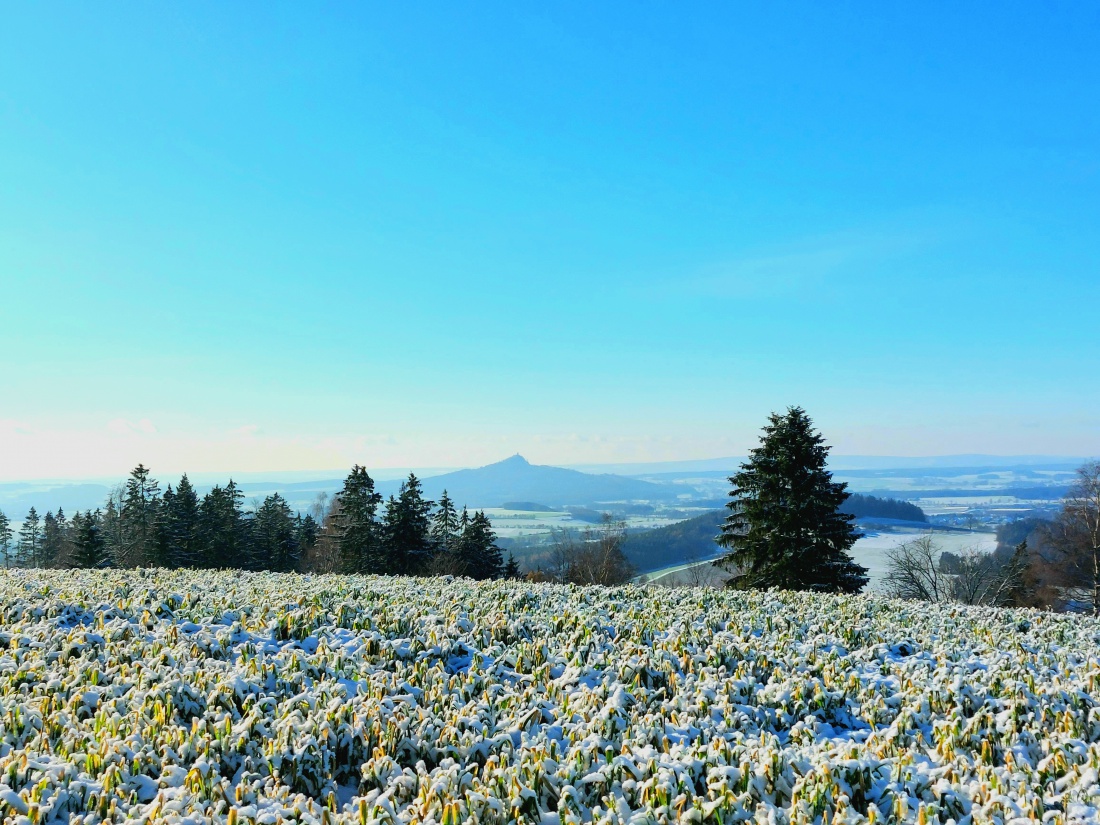 Foto: Martin Zehrer - Unendliche Weiten... bis zum Rauhen Kulm!<br />
<br />
Endlich wieder ein herrlich sonniger Winter-Tag. <br />
Bei -5 Grad Kälte strahlte die Sonne wirklich voller Energie vom blauen Hi 