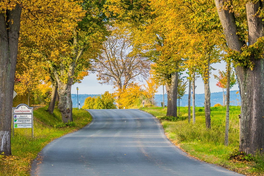 Foto: Martin Zehrer - Wunsiedler Straße im Herbst - rauswärts aus Kemnath 