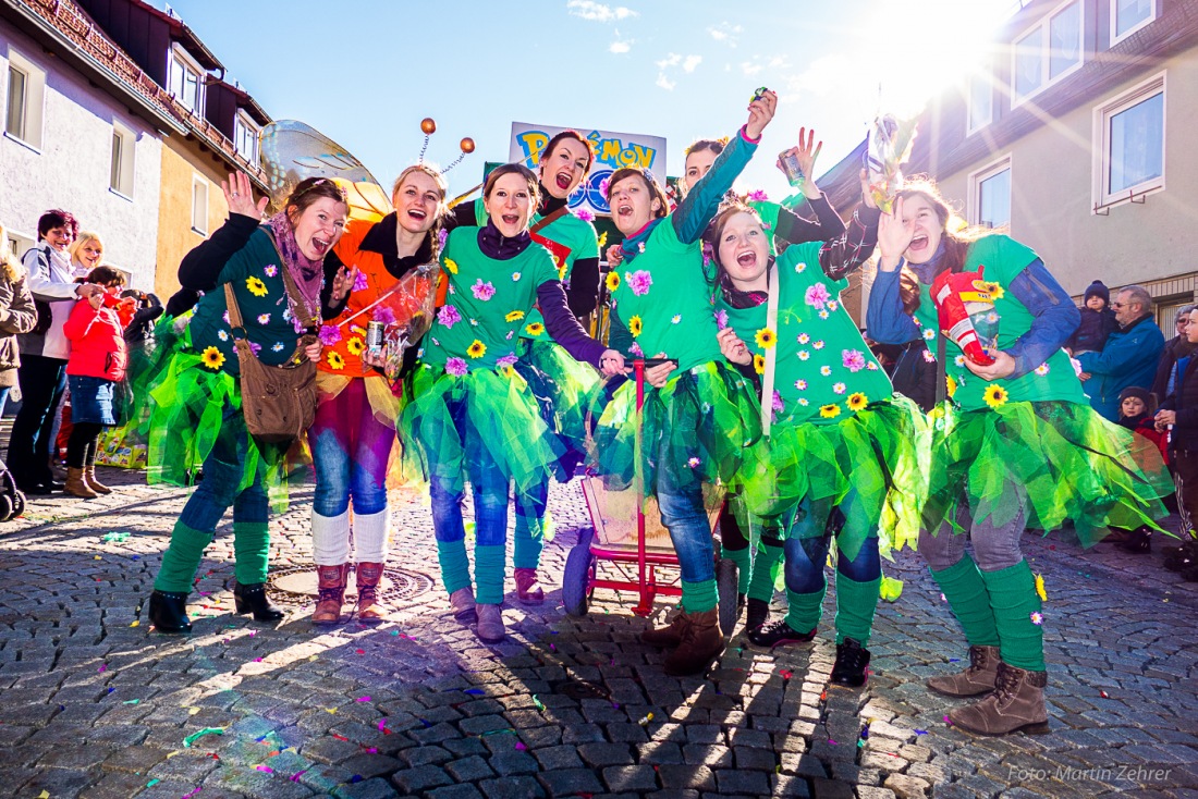 Foto: Martin Zehrer - Fasching in Waldeck 2017... viele Narren, lustiges Volk und Hammer-Wetter :-)  