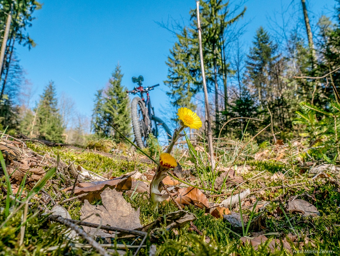 Foto: Martin Zehrer - Mit voller Kraft in den Frühling...<br />
<br />
7. April 2018 