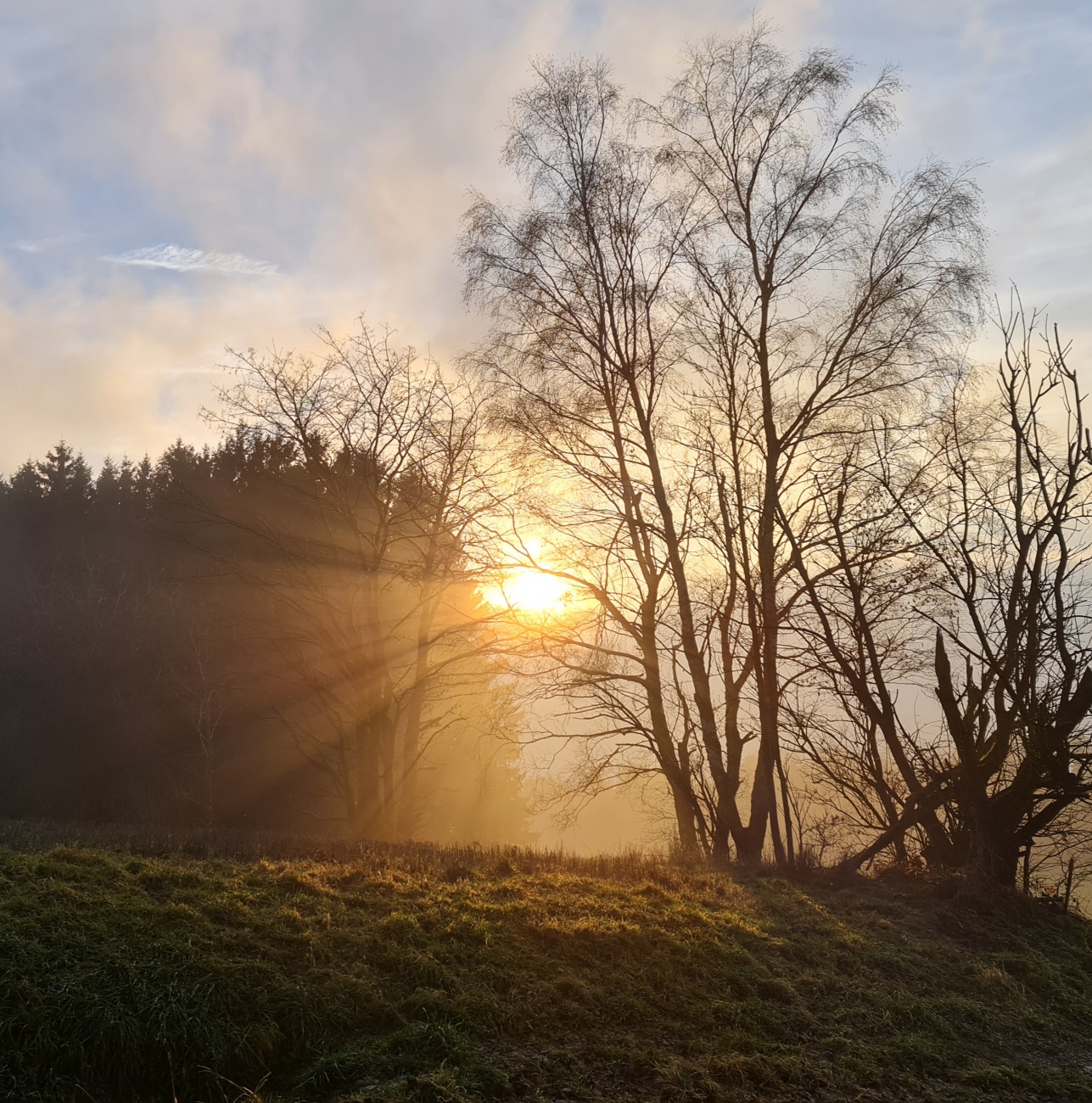 Foto: Jennifer M&uuml;ller - Heute hatten wir richtig Gl&uuml;ck! Die Sonne hat sich gezeigt... f&uuml;r einen kurzen Augenblick. Die Natur hat uns wunderbare Momente geschenkt.  