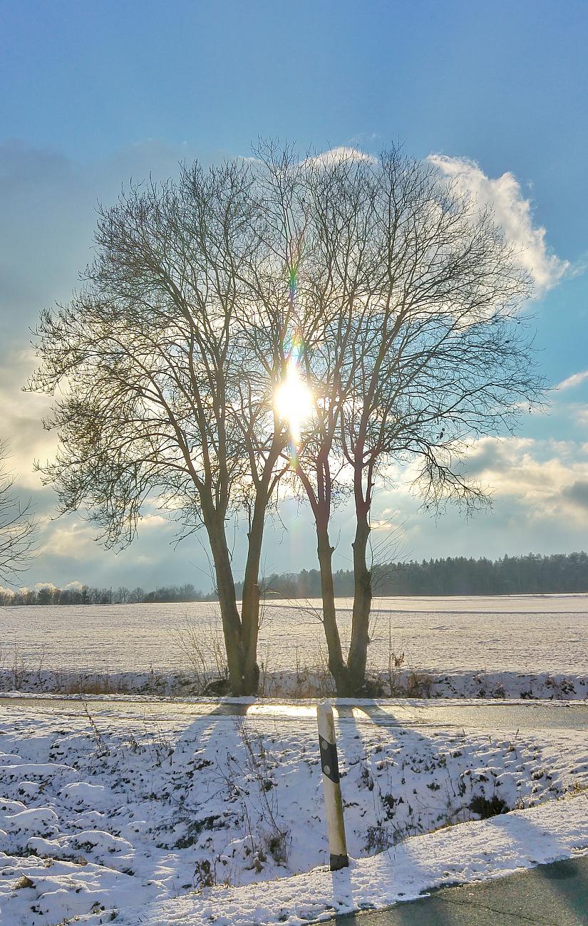 Foto: Jenny Müller - Spaziergang bei strahlendem Sonnenschein durch und um Kemnath am 10.01.2021 bei ca. -3 Grad. Einfach mal stehenbleiben und die Sonne im Gesicht genießen ;-) 